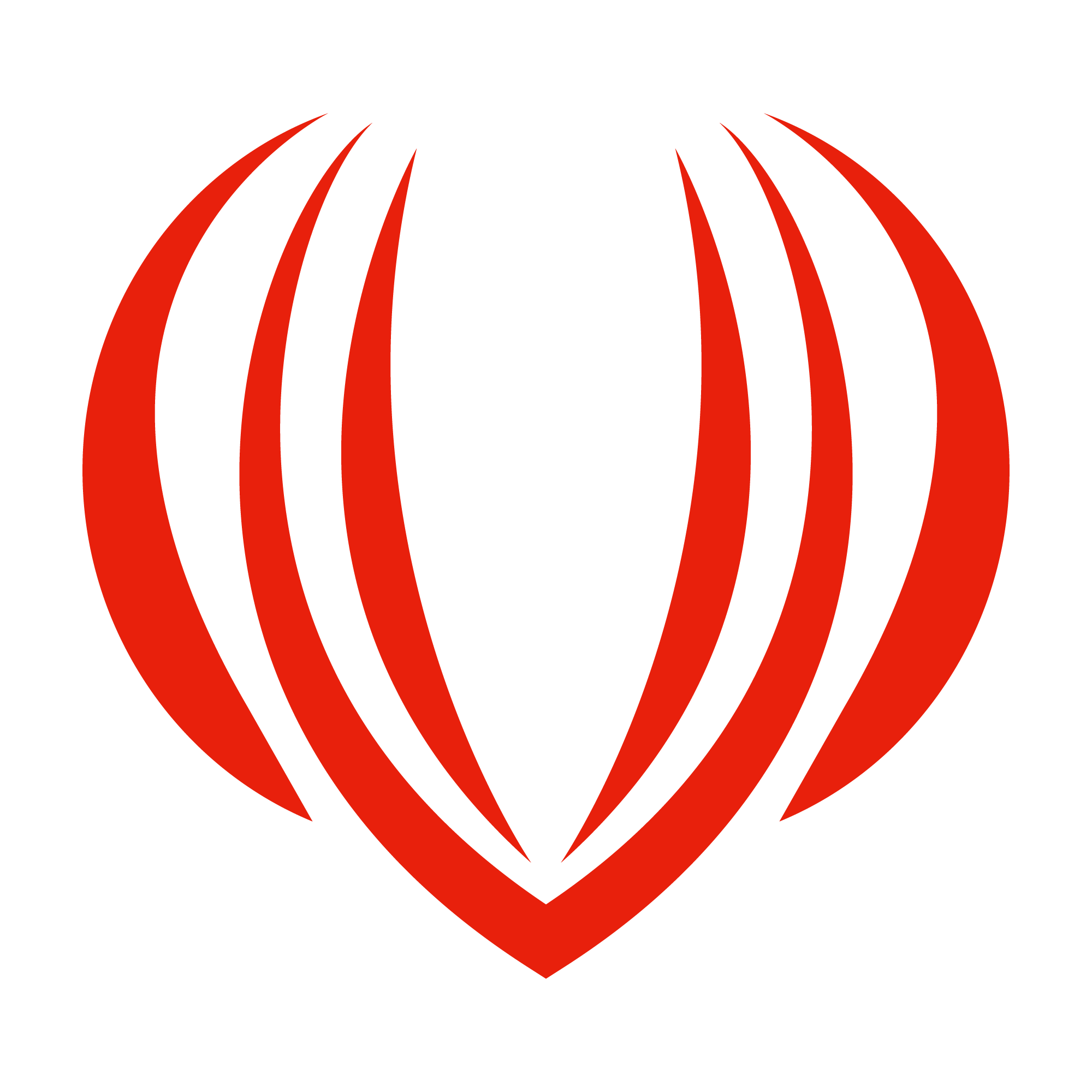 MG Company Group